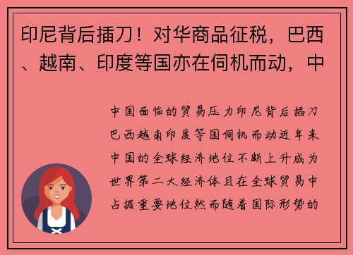 印尼背后插刀！对华商品征税，巴西、越南、印度等国亦在伺机而动，中国面临何种贸易压力？